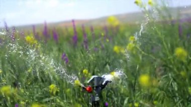 Image of irrigation systems of agricultural lands