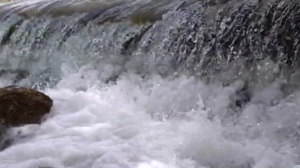 Natural Stream Emerging Point Mountain — Video