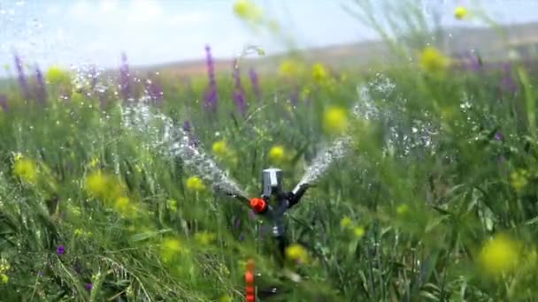 Image Irrigation Systems Agricultural Lands — Vídeo de Stock
