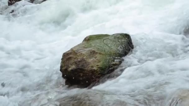 从山中某一点流出的天然溪流 — 图库视频影像