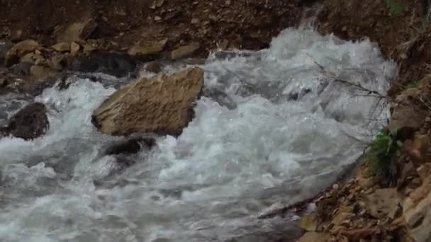 Natural Stream Emerging Point Mountain — Video