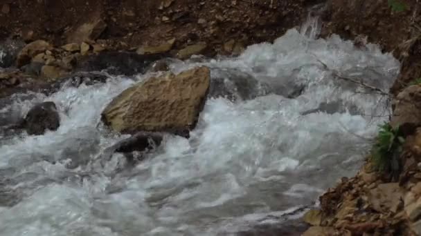 Natural Stream Emerging Point Mountain — Video