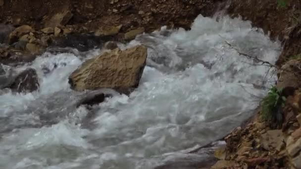 从山中某一点流出的天然溪流 — 图库视频影像