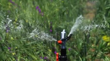 Image of irrigation systems of agricultural lands