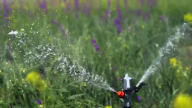 Tarım arazilerinin sulama sistemlerinin resmi