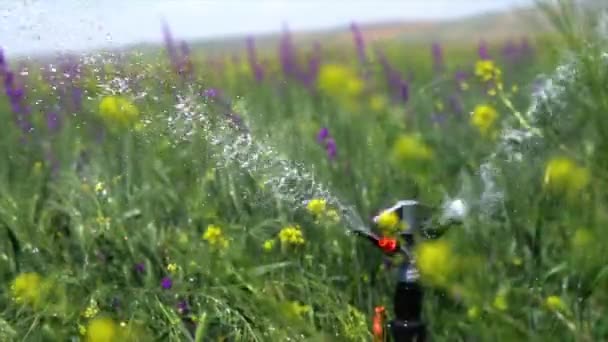 Image Irrigation Systems Agricultural Lands — Vídeo de Stock