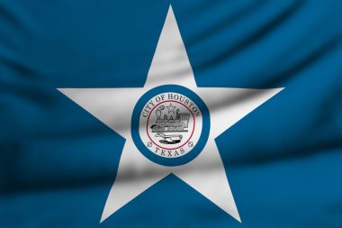 houston bayrağı