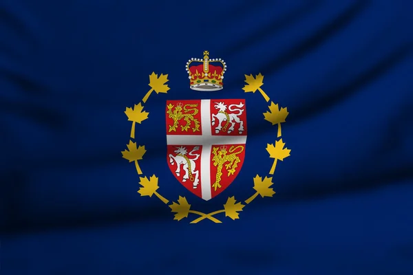 Flag of Lieutenant-Governor of Newfoundland and Labrador — Stock Photo, Image