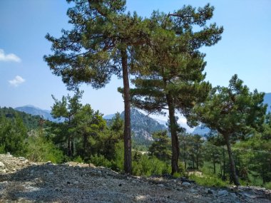 The Mediterranean mountain landscape of South Turkey