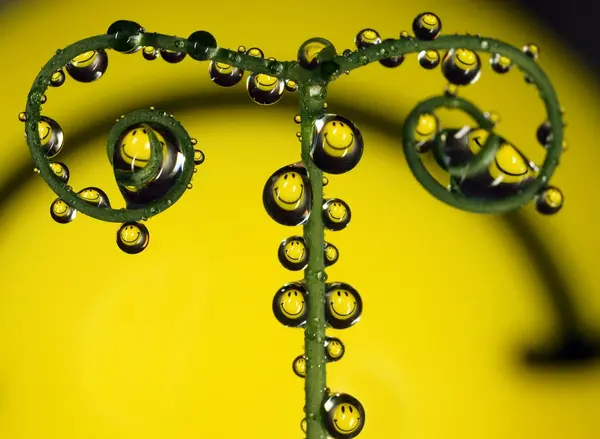 Water drops — Stock Photo, Image