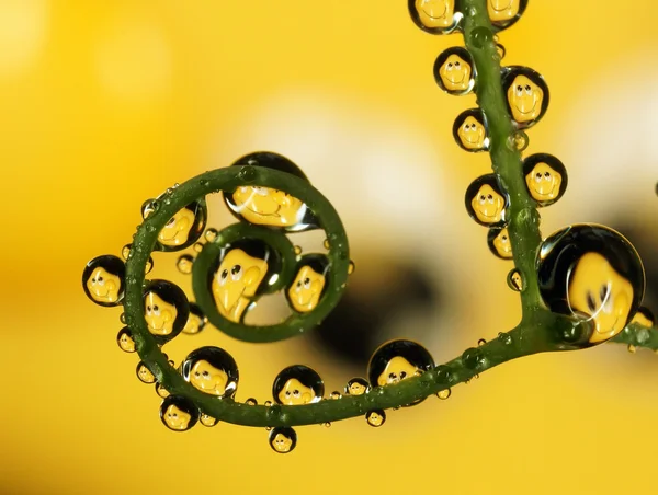 Gotas de agua — Foto de Stock