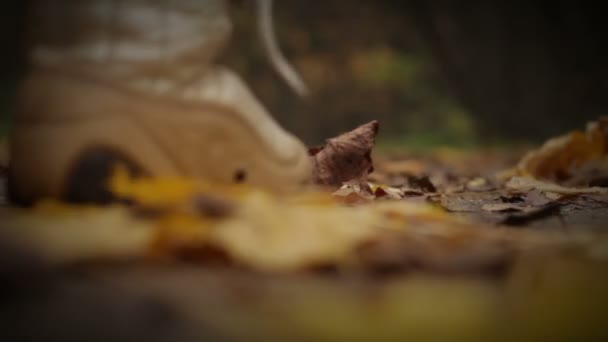 Őszi játékkal Absztrakt — Stock videók