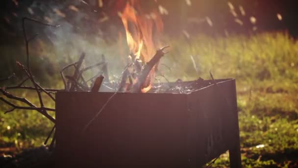 Feu de camp dans la forêt, gros plan — Video