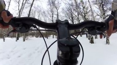 Kış Park köpekleri ile binmek. HD