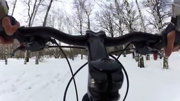 Jízda na kole v parku se psy na zimu. HD — Stock video