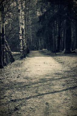 Park, tonda vintage yol