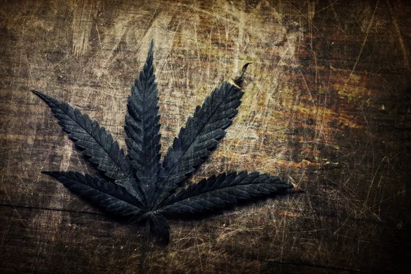 Vintage grunge cannabis leaf — Stockfoto