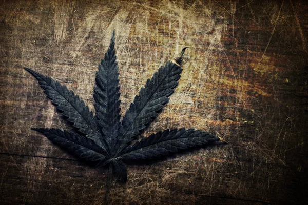 Feuille de cannabis grunge vintage — Photo