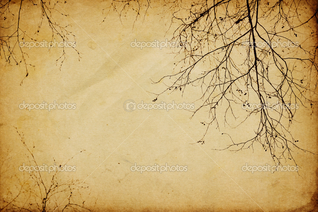 Antique Paper with Image of Tree Stock Image - Image of isolated, texture:  8025319