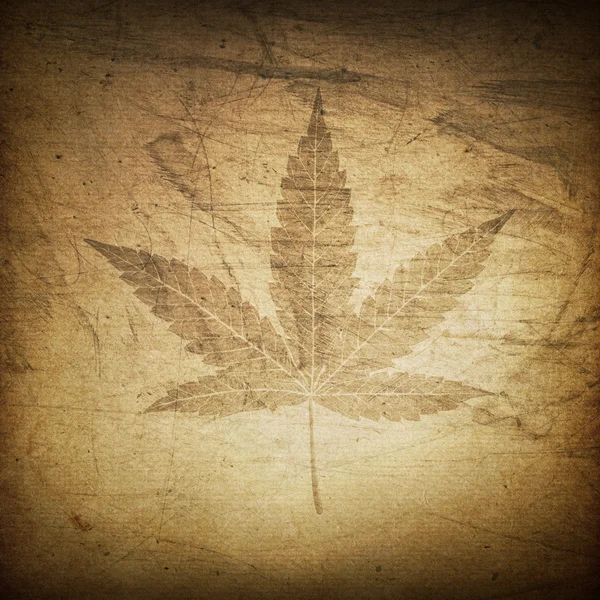 Kannabisz levél grunge, háttér — Stock Fotó