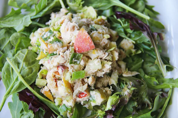 Salade de noix de thon aux pommes upclose — Photo