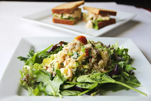 Friska apple tonfisk sallad smörgås — Stockfoto