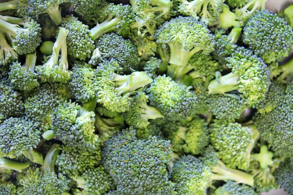 Green frash Broccoli — Zdjęcie stockowe