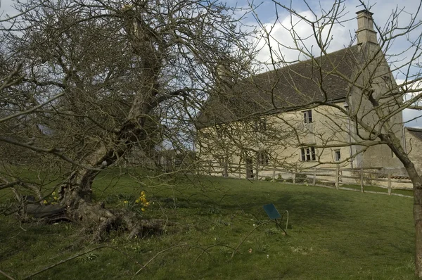 Woolsthorpe Manor and the apple tree — Stock Photo, Image