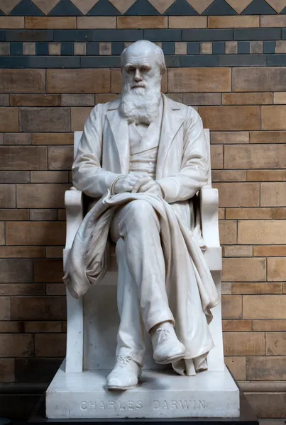 查尔斯 · 达尔文雕像 — 图库照片