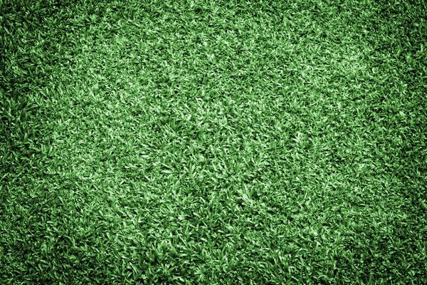 Healthy Grass Texture — Stock Photo, Image