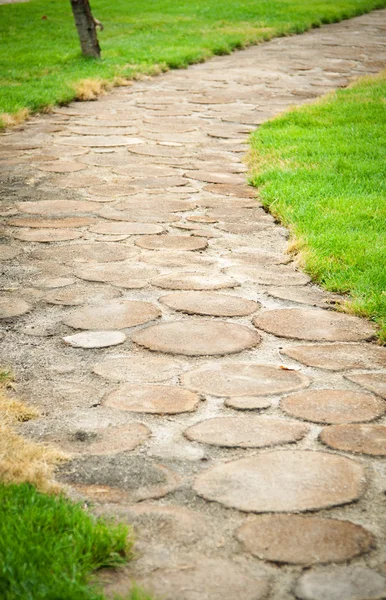 Beautiful garden path — Stock Photo, Image