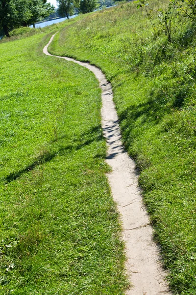 Single path on to the meadow — Stock Photo, Image