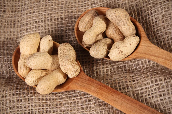 Ripe peanut — Stock Photo, Image