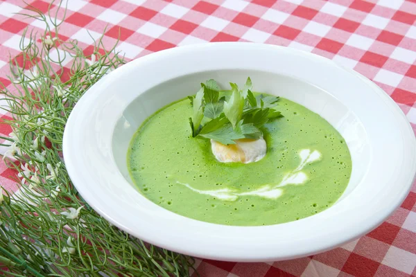 Vegetable soup — Stock Photo, Image