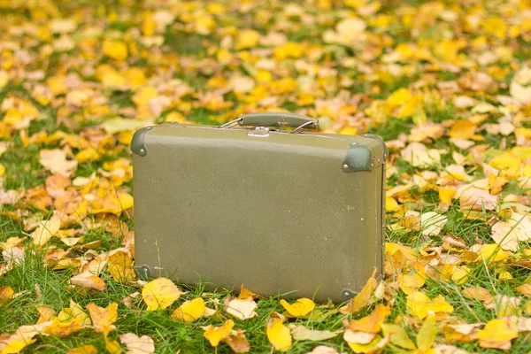 Suitcase in autumn park — Stock Photo, Image