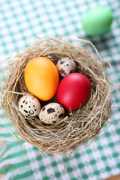 Ovos para a Páscoa — Fotografia de Stock