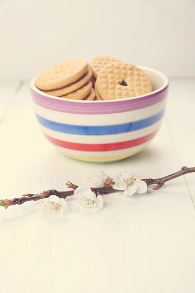 Cookie med blommor — Stockfoto