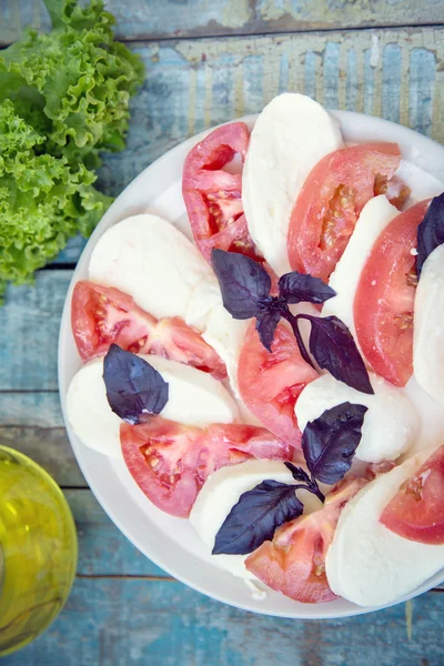 Insalata con mozzarella — Foto Stock