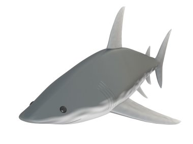 Beyaz arka planda köpekbalığı