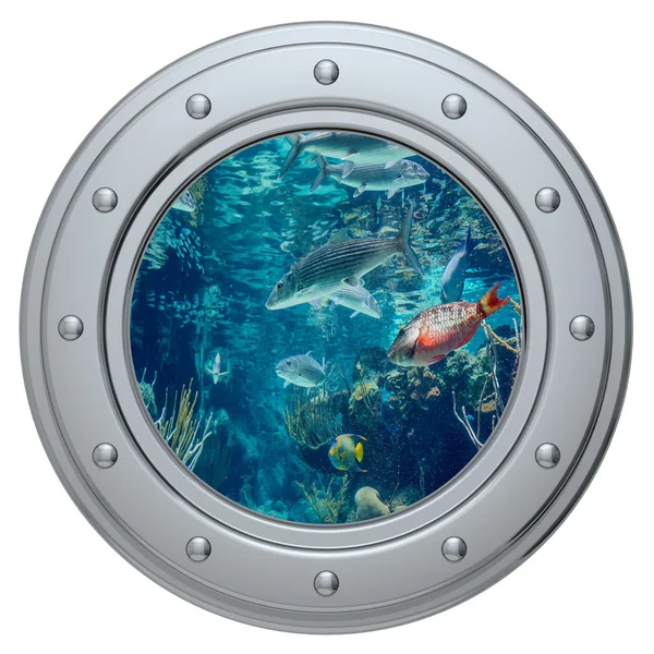 Porthole on a white background — Stock Photo, Image