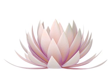 Lotus flower on a white background clipart