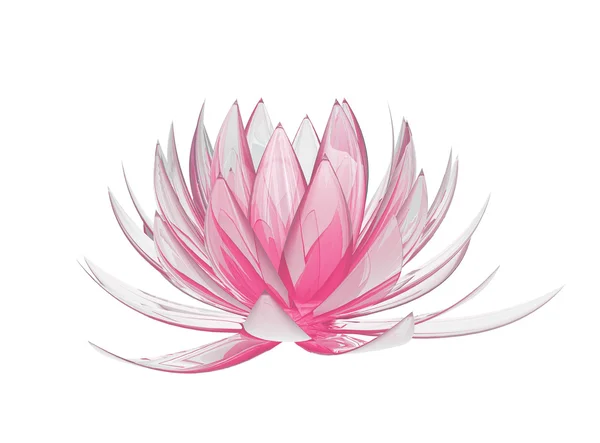 Lotusblume auf weißem Hintergrund — Stockfoto