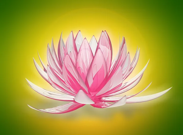 Lotus flower — Stock Photo, Image