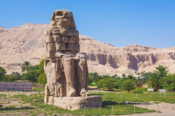 Colossi memnon — Stok fotoğraf