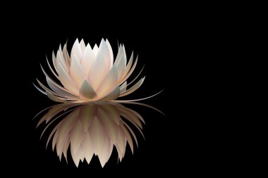 Lotus çiçeği.