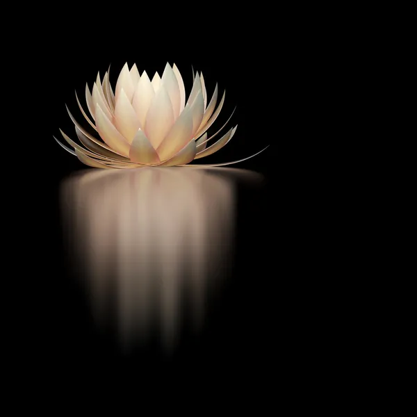Lotus çiçeği.