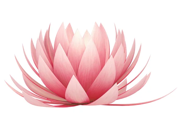 Lotus çiçeği.
