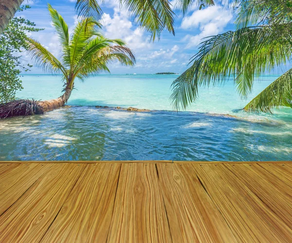 Maldivas con palma, arena y océano —  Fotos de Stock