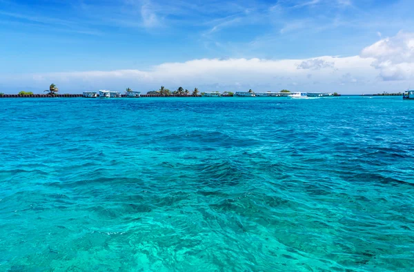 Maldivler palm, kum ve deniz — Stok fotoğraf