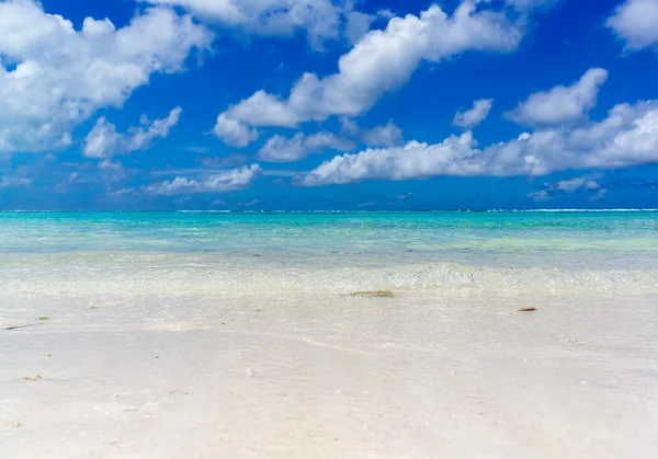 Maldives avec palmier, sable et océan — Photo